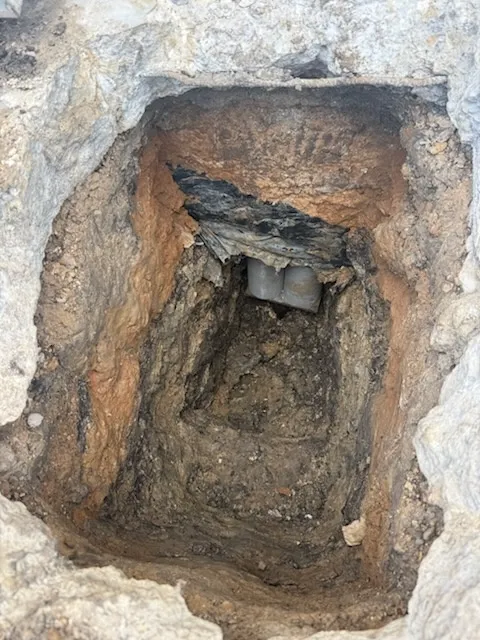 Gallery image 17