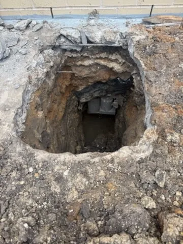 Gallery image 18