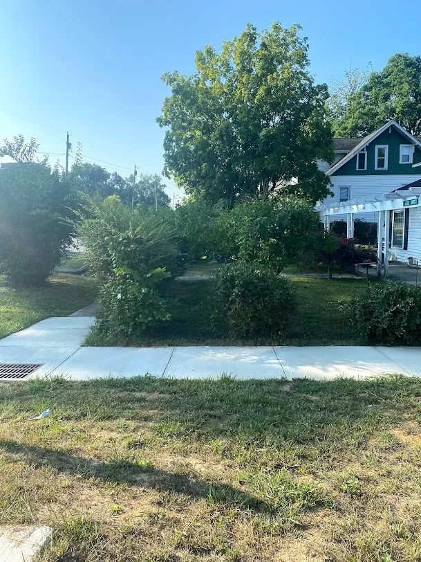 Bush Trimming - Hedge Trimming