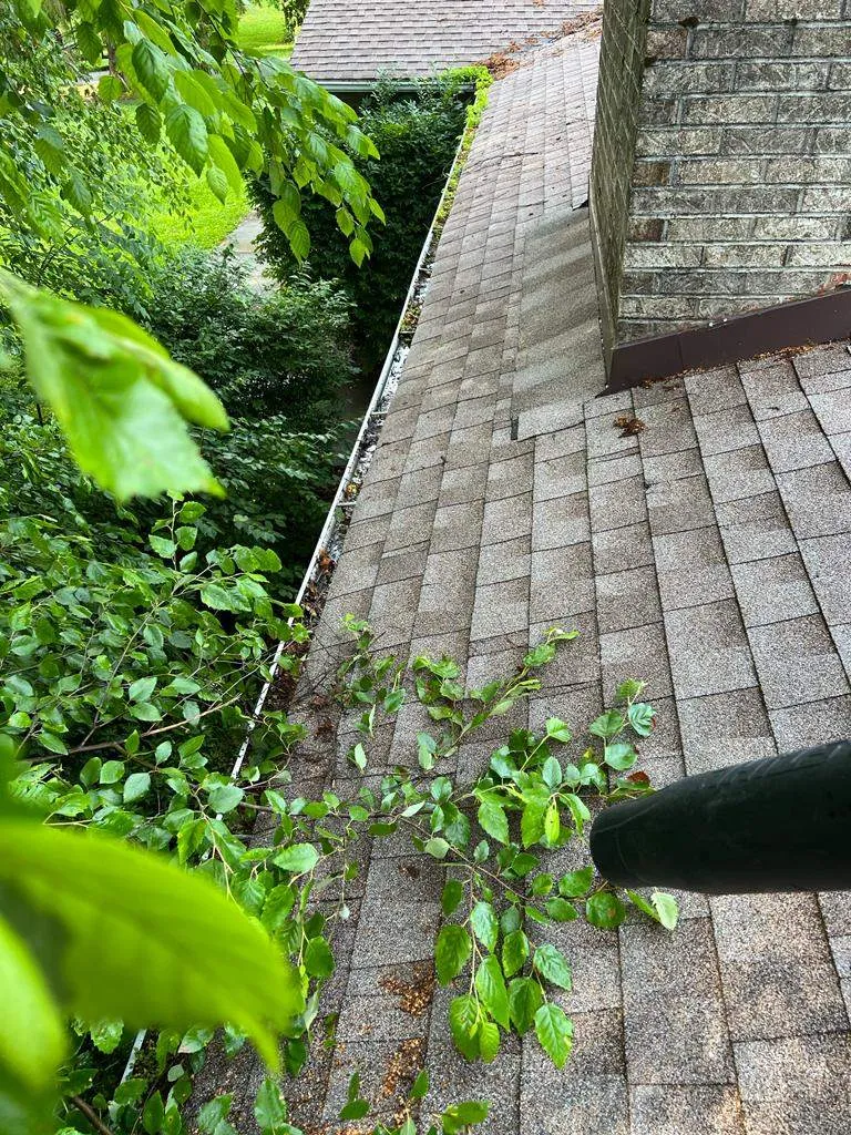 Gutter Cleaning