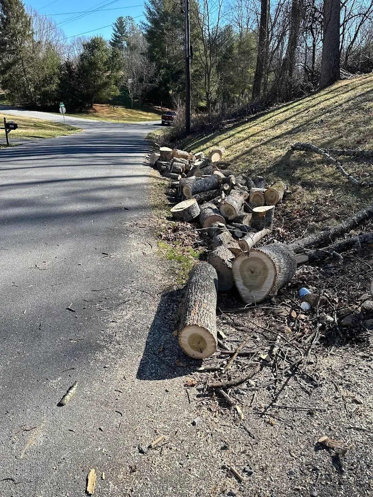 Tree Cutting