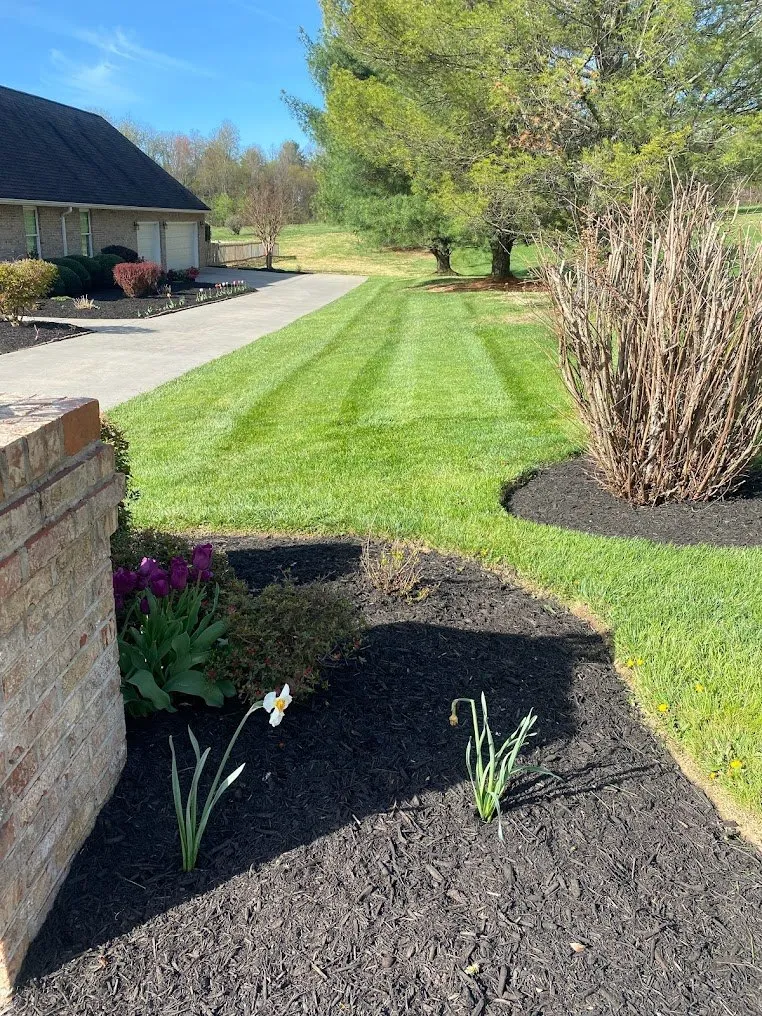 Gardening - Planting