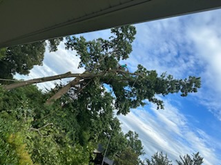 Portillo And Son Landscaping And Tree Service