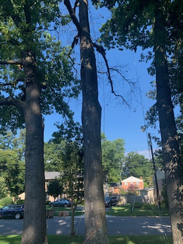 Gallery image 16