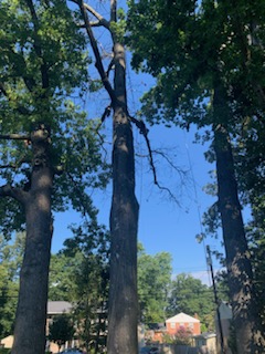 Gallery image 18