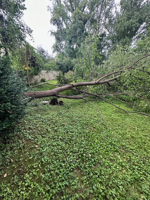 Gallery image 21