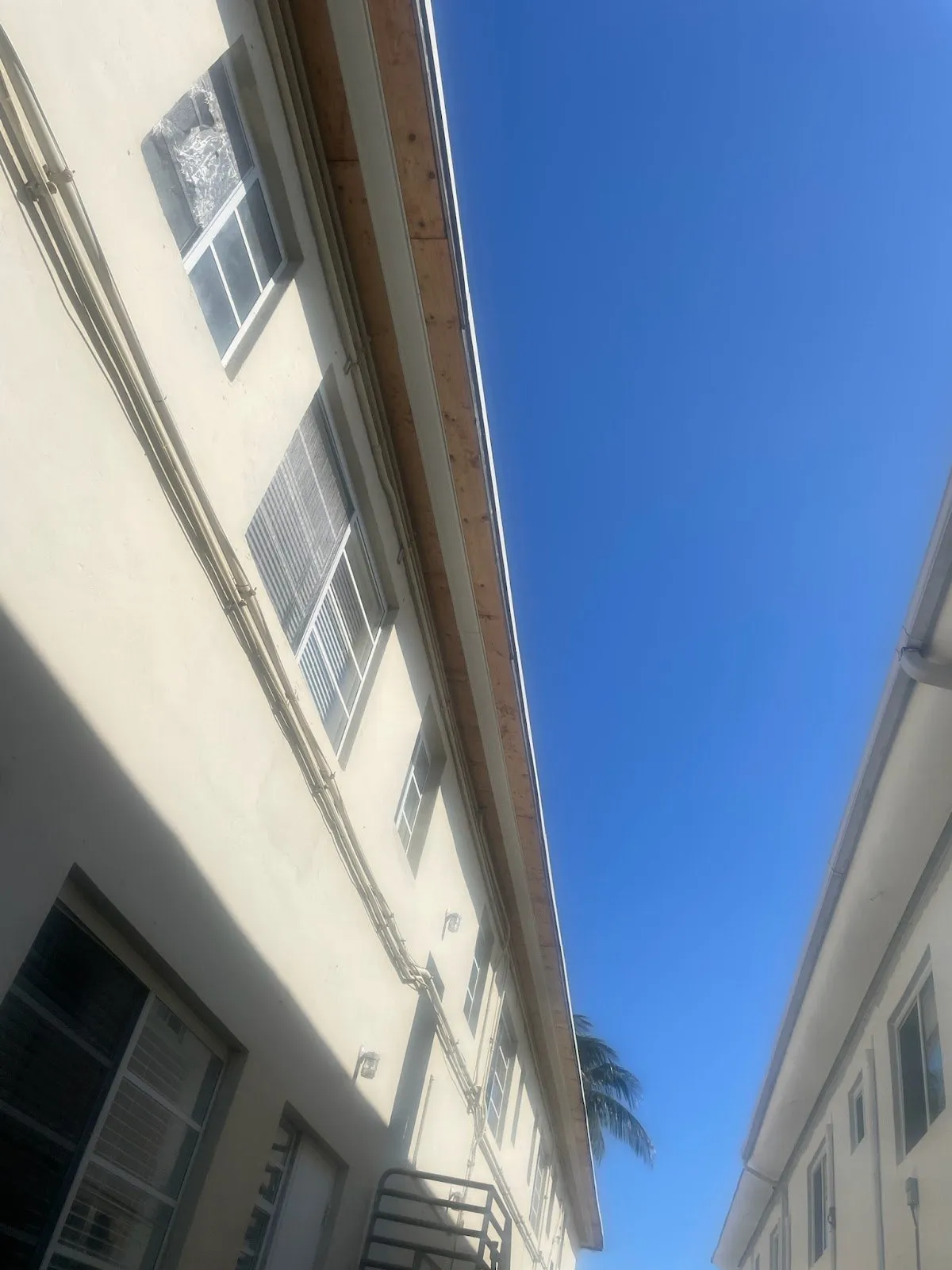 Gallery image 12