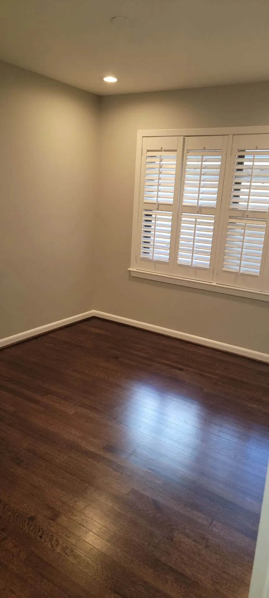 Gallery image 13