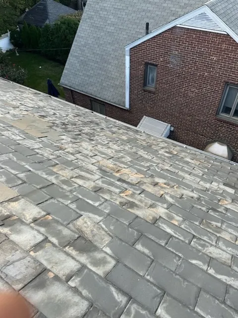 Gallery image 18