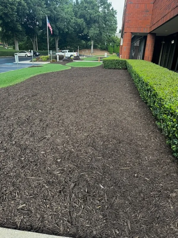 Hernandez Landscaping & Lawncare LLC background 4