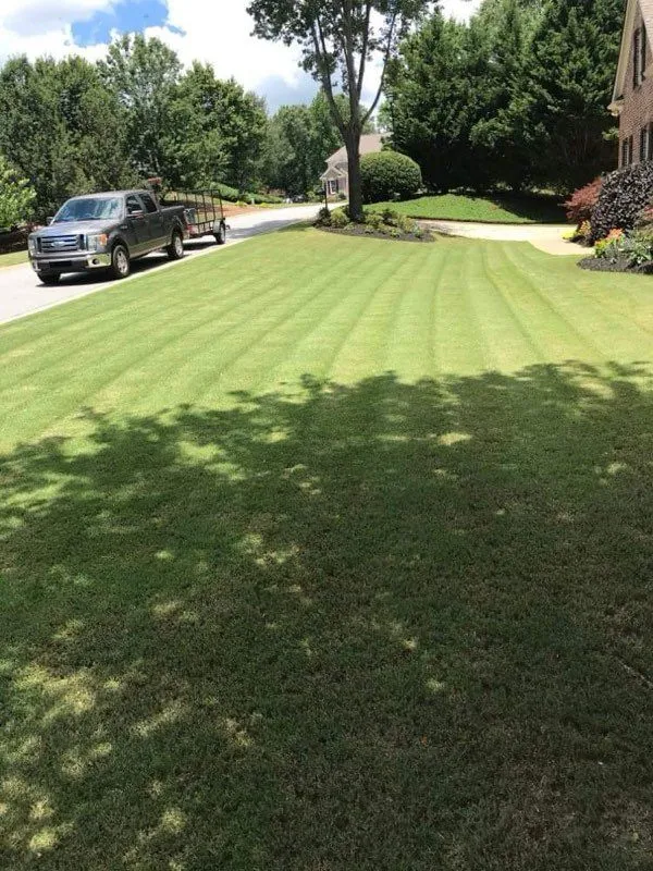 Hernandez Landscaping & Lawncare LLC