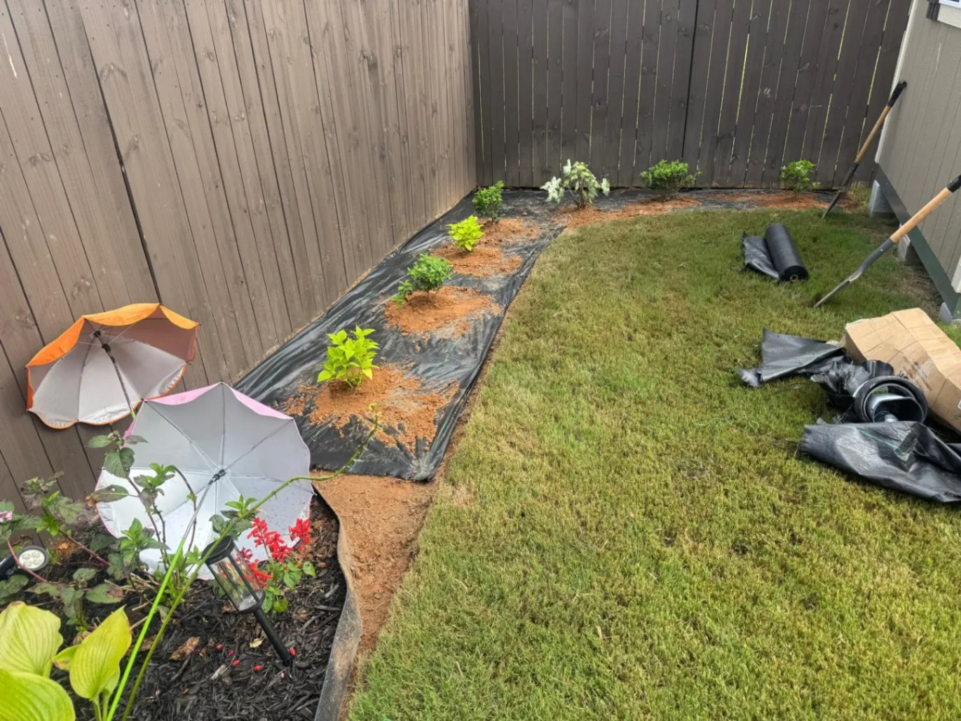 Gallery image 49