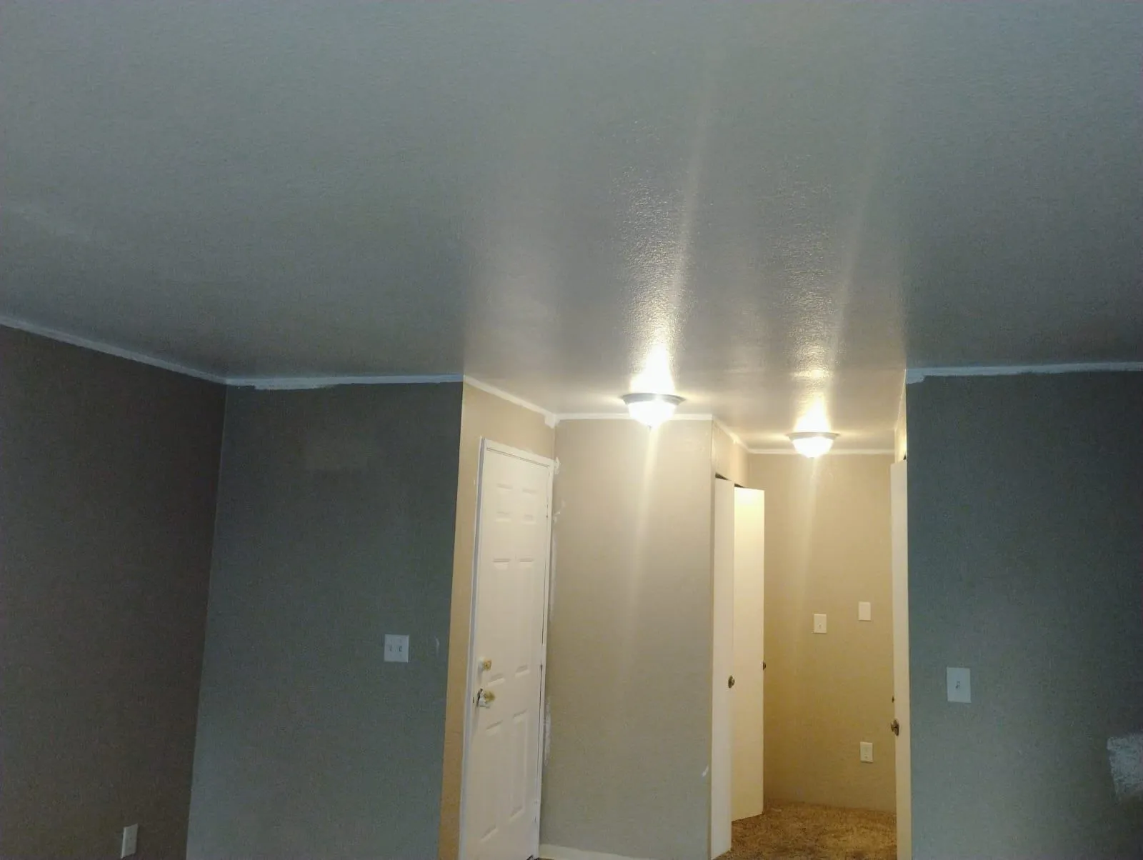 Gallery image 17