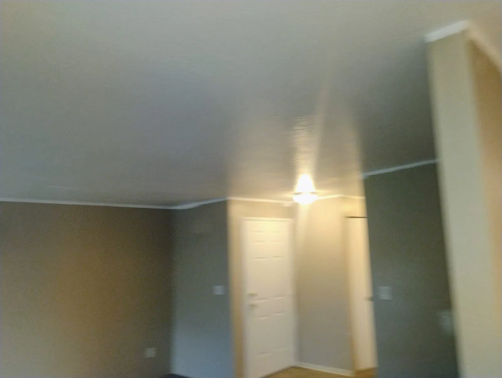 Gallery image 19