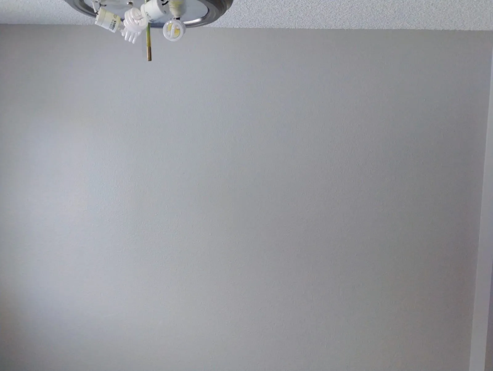 Gallery image 20