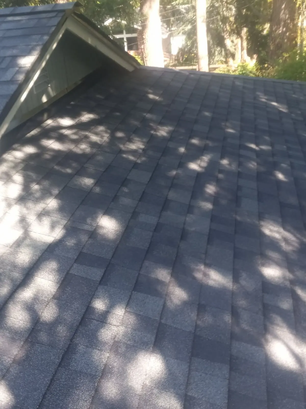 Gallery image 7