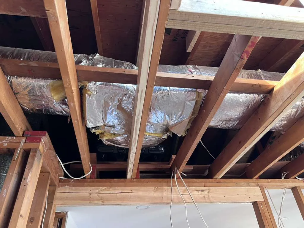Gallery image 13