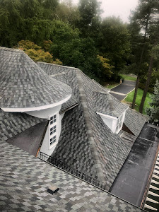 Gallery image 102