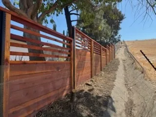 Gallery image 16