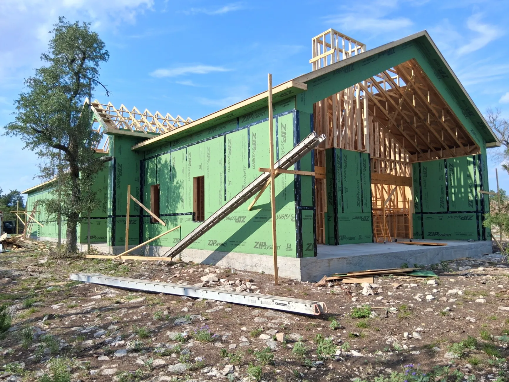 Gallery image 16