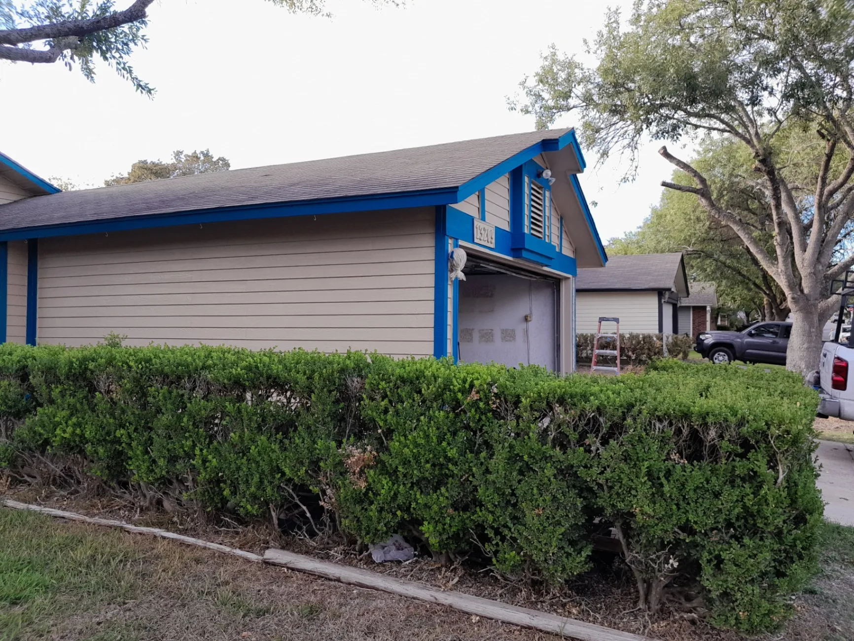 Gallery image 13