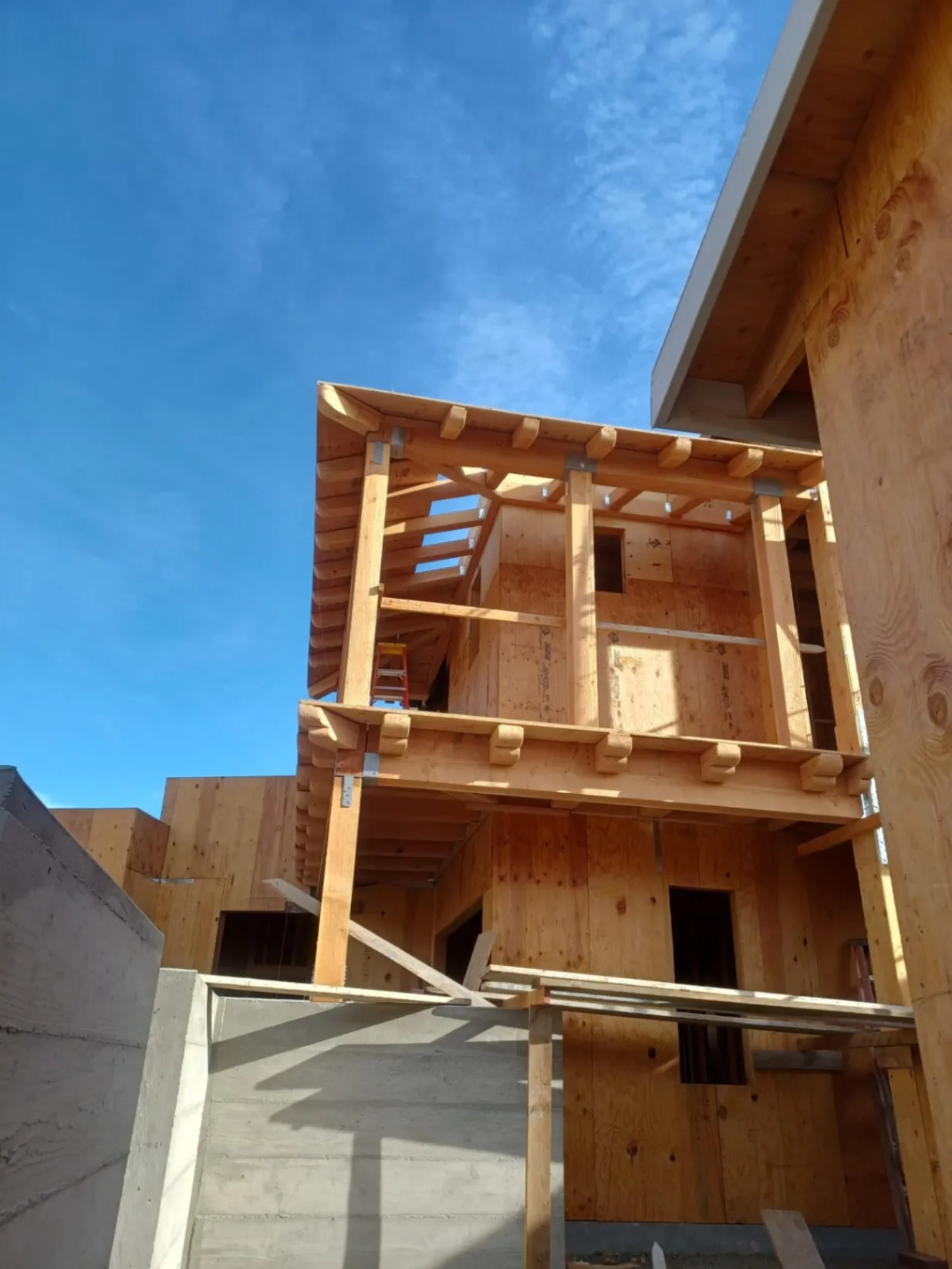 Gallery image 14