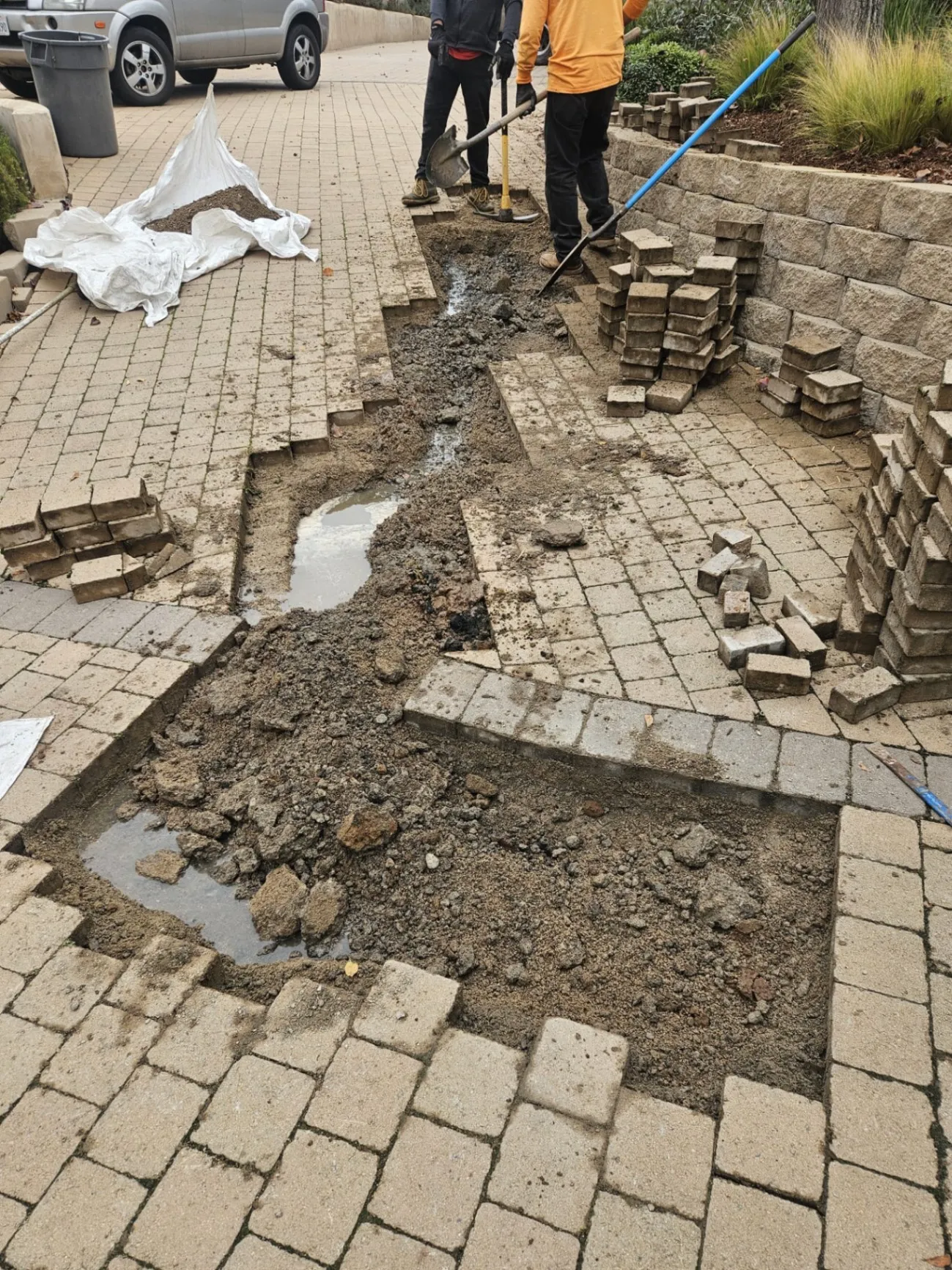 Gallery image 10
