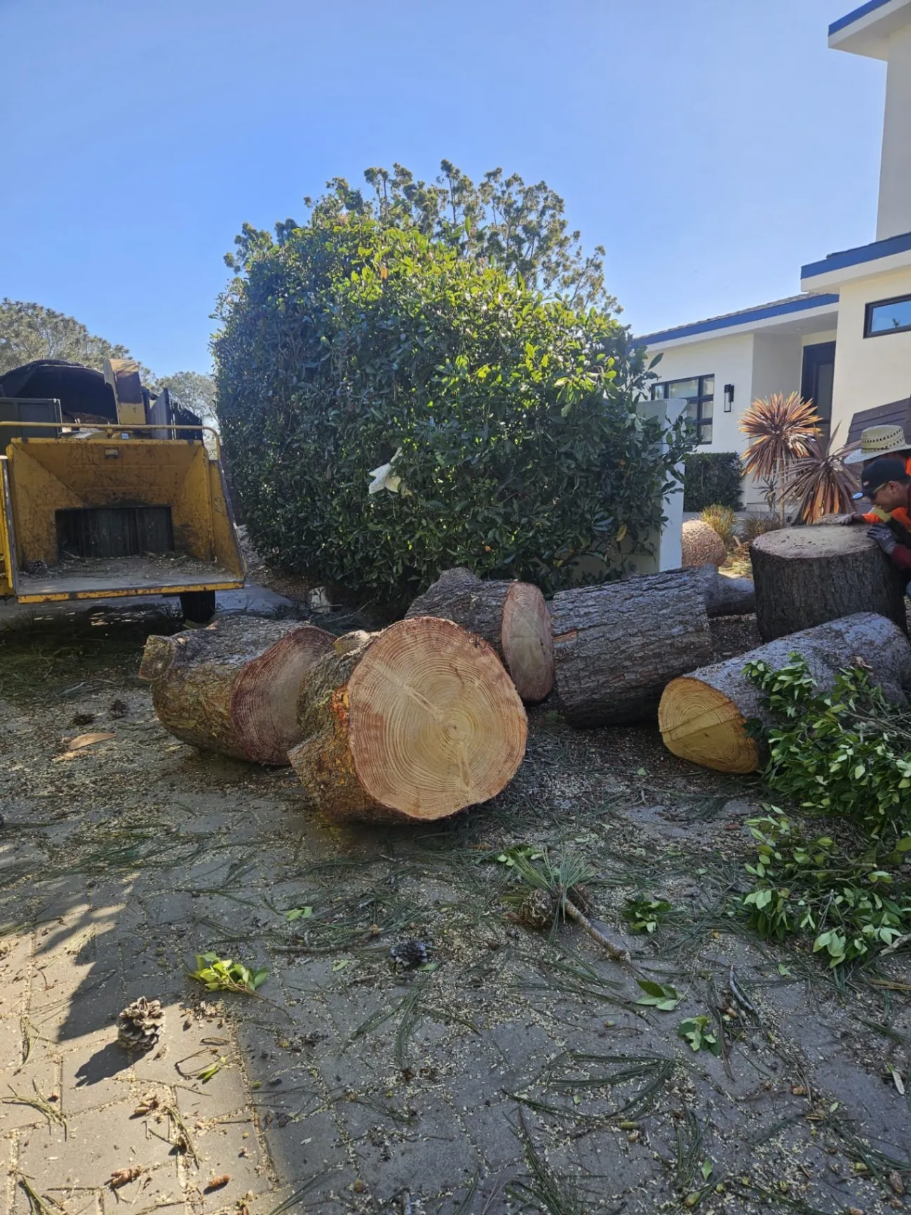 Caro's Landscape Inc.