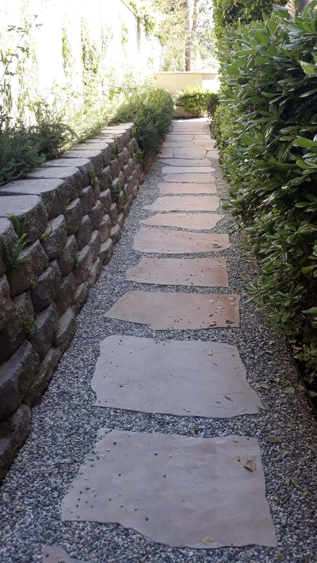 Gallery image 198