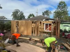 Gallery image 16