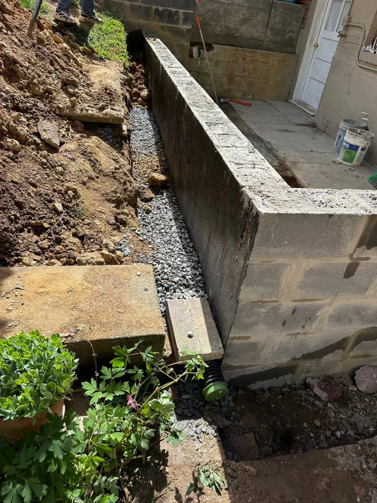 Gallery image 15