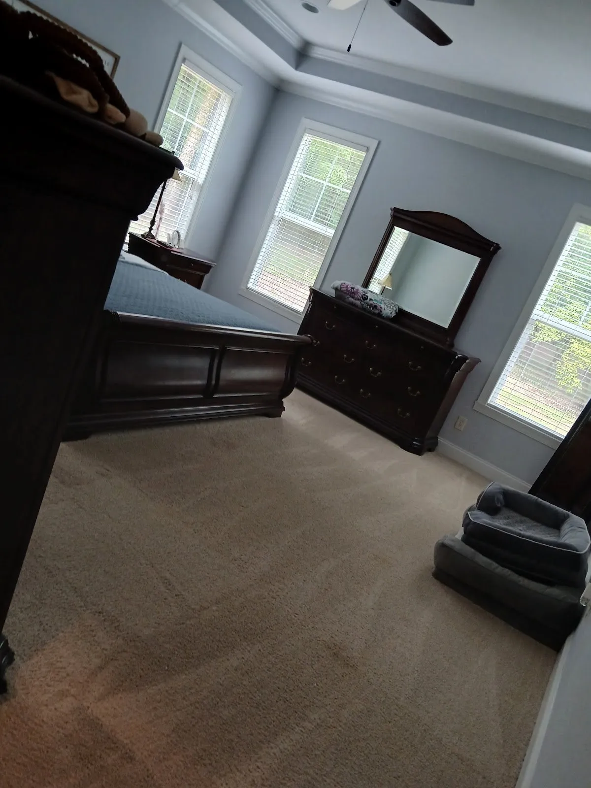 Gallery image 7