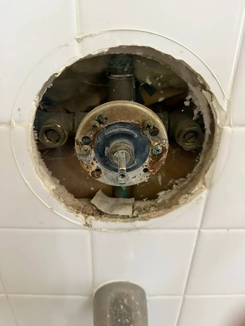 Gallery image 12
