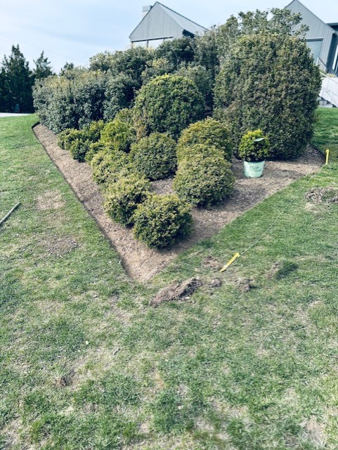 Gallery image 10