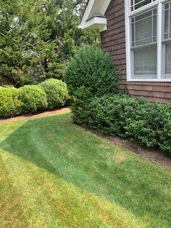 Pablo Long Landscaping Corp.
