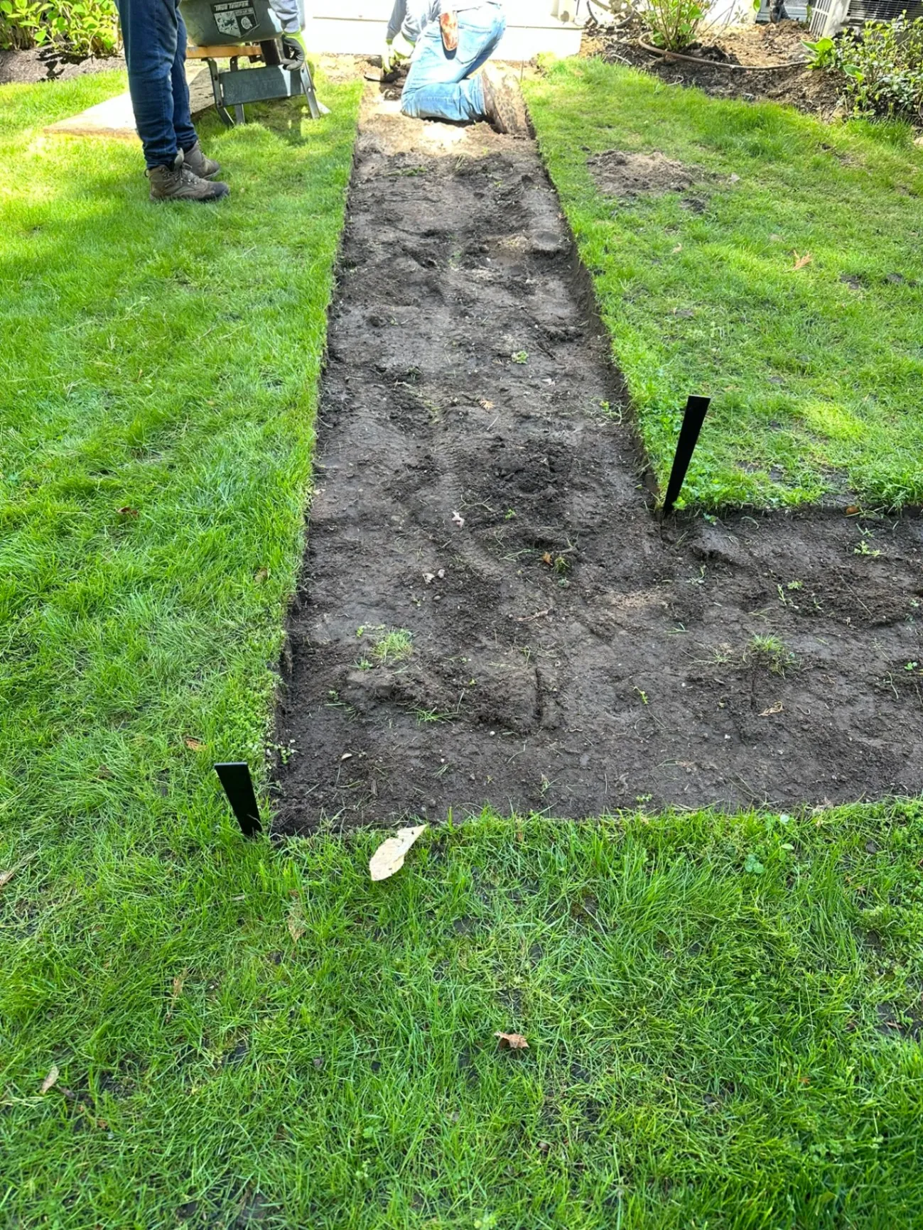 Natural Grass Installation