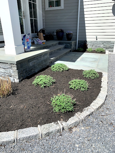 Gallery image 12