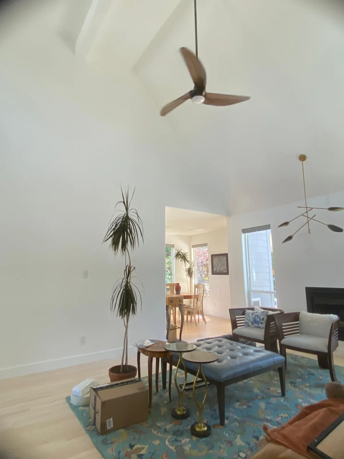 Gallery image 8