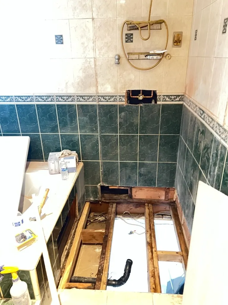 Gallery image 10