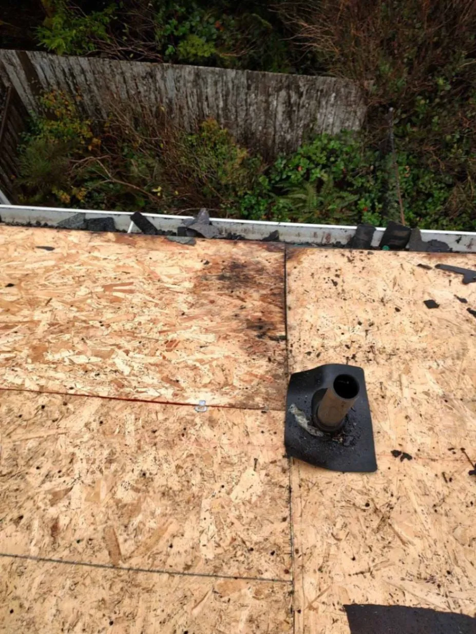 Gallery image 18