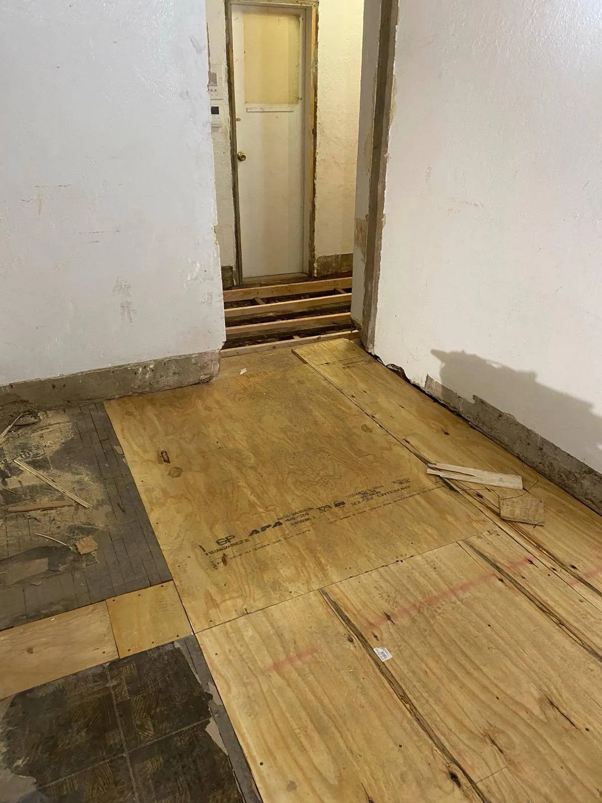 Imagen de galería 5