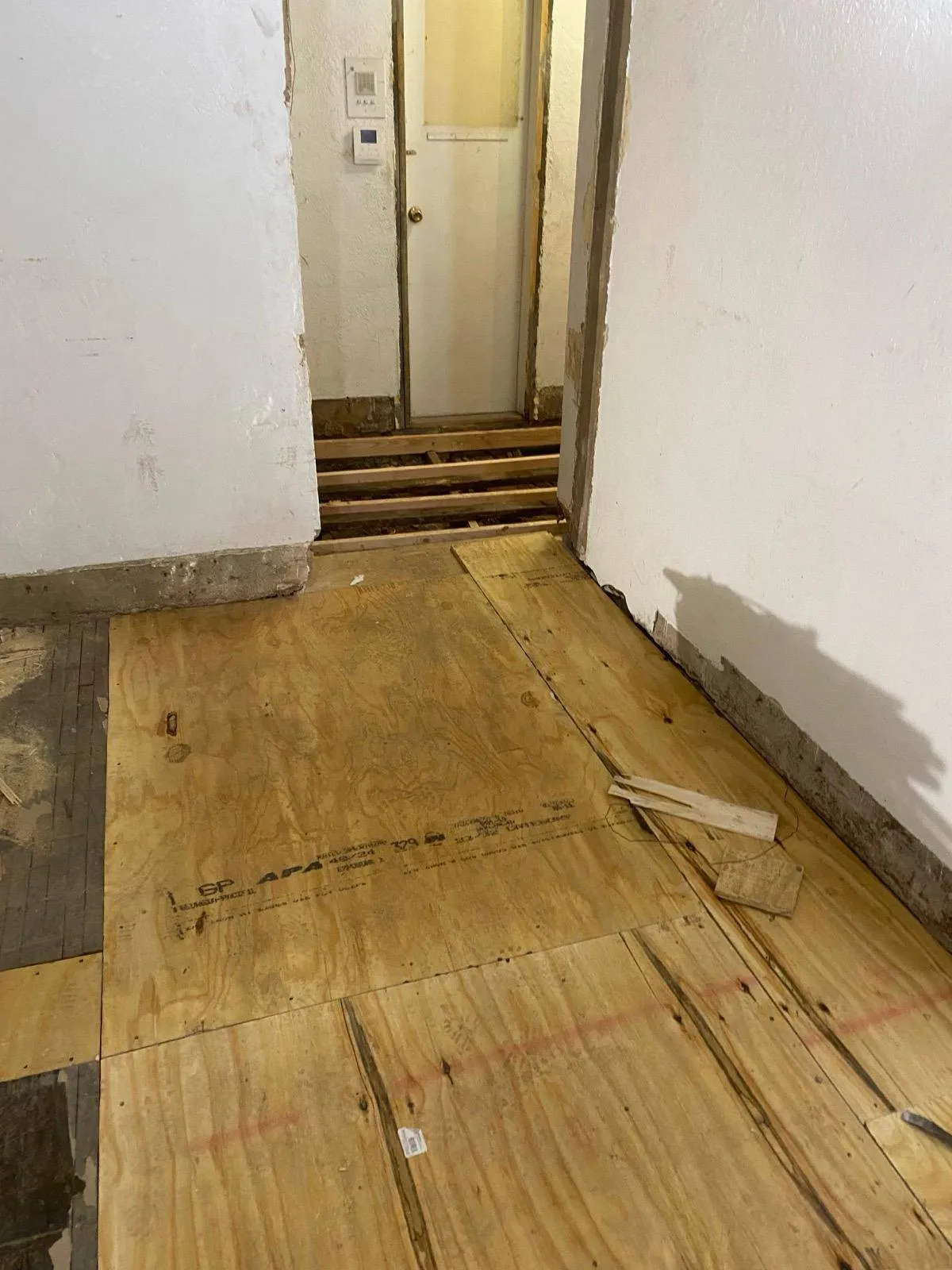 Imagen de galería 6