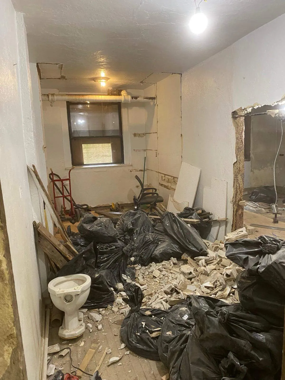 Imagen de galería 12