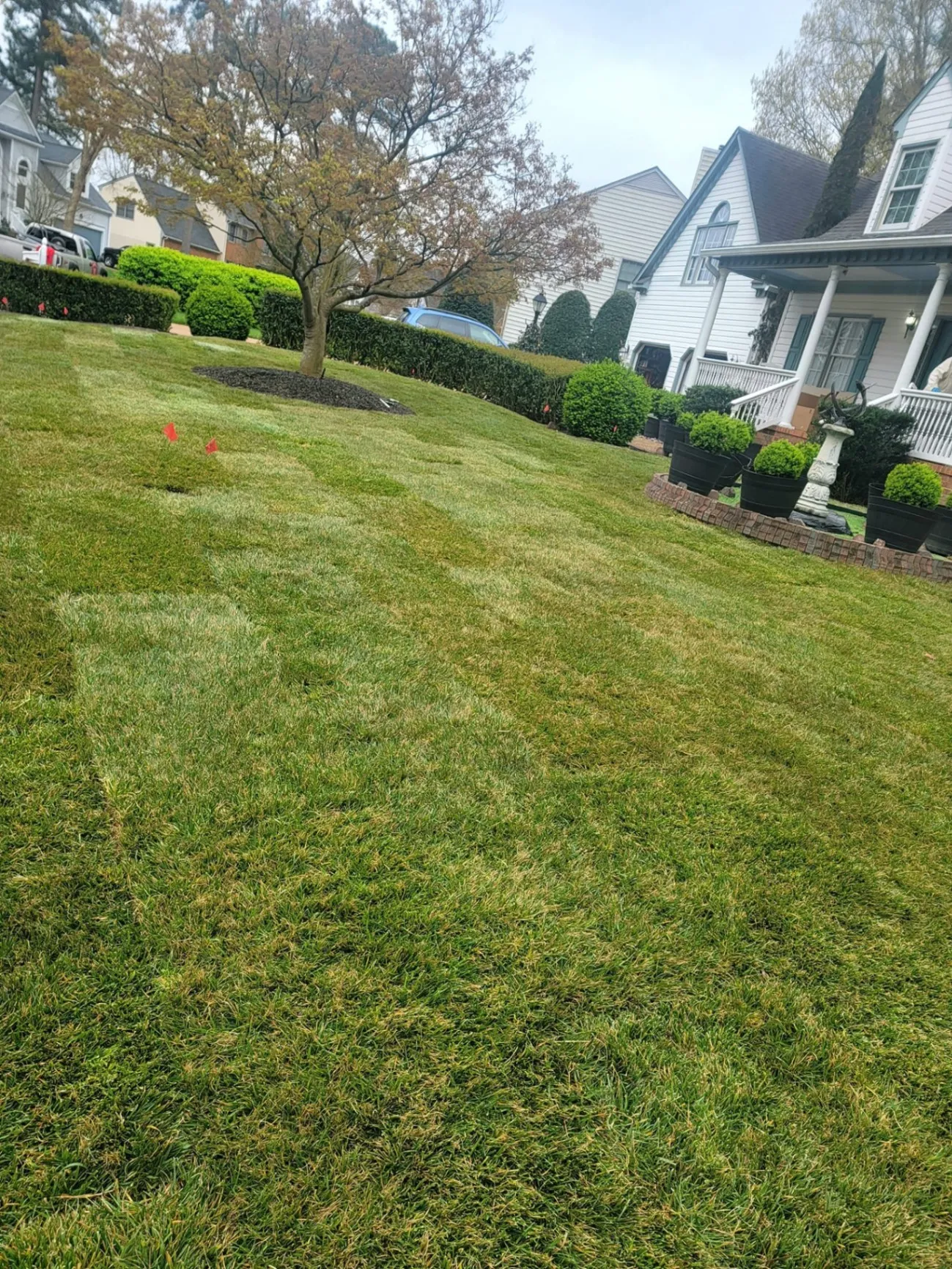 Lawn Care