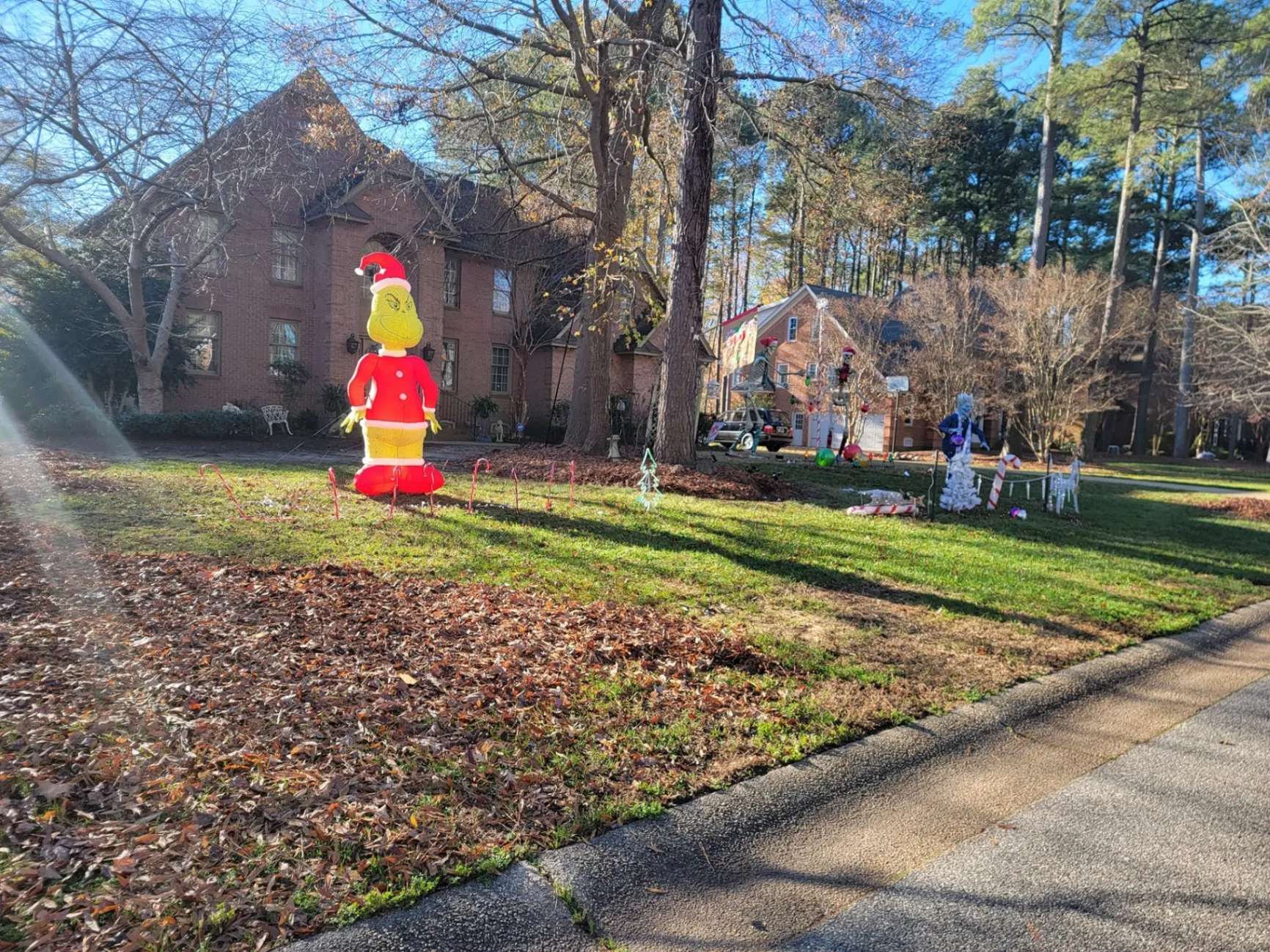 Leaf Removal