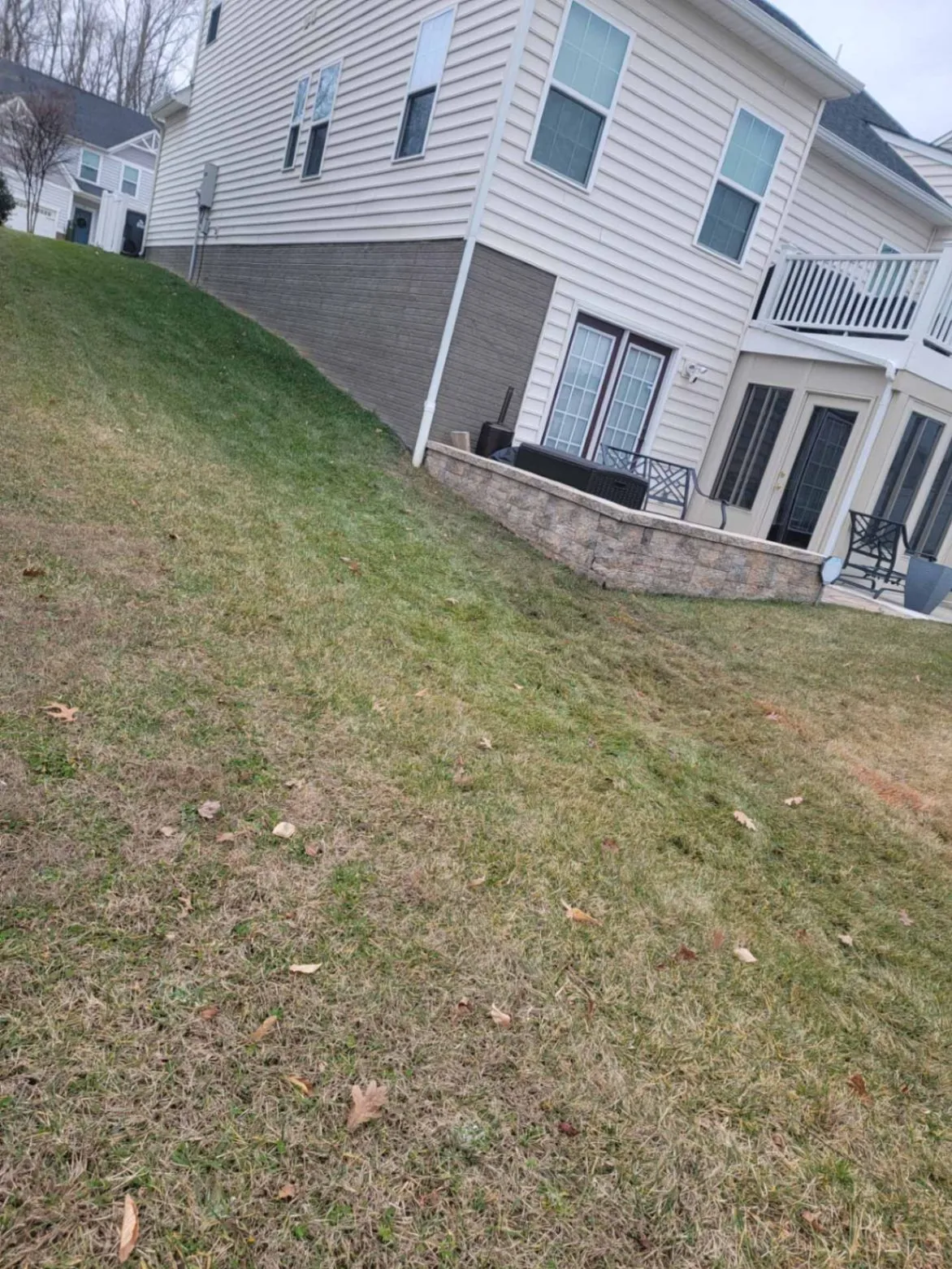 Gallery image 59