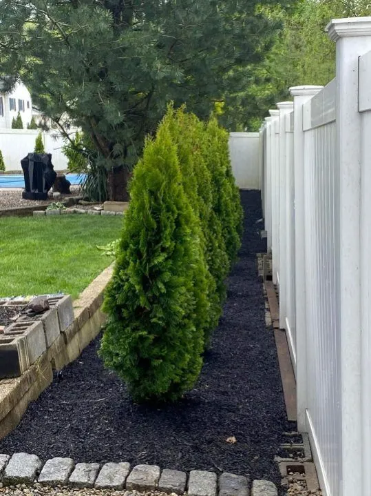 JS Innovative Landscaping LLC