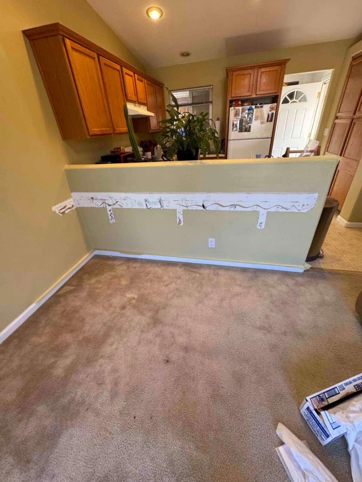 Gallery image 101