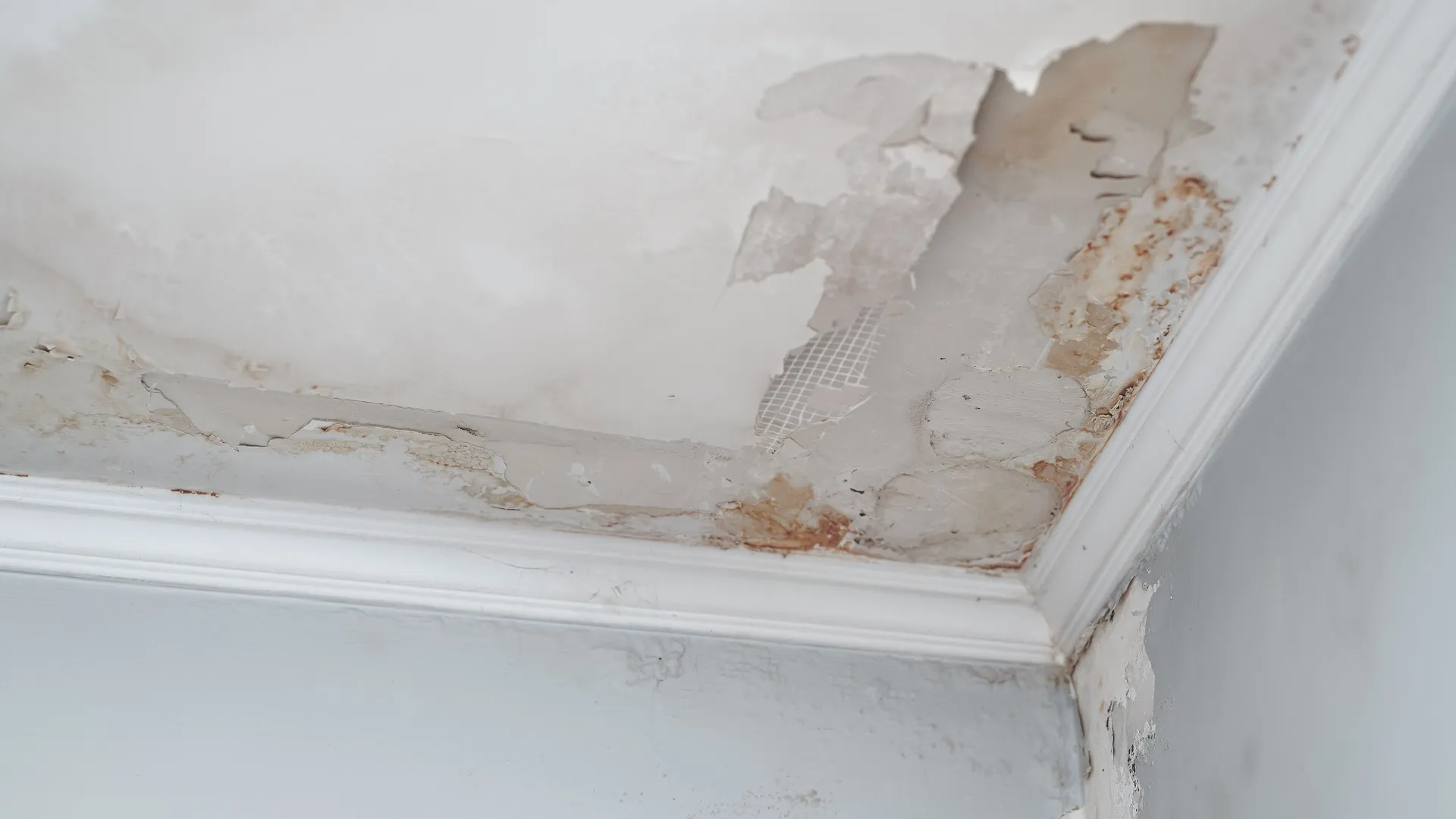 Water Damage Repair