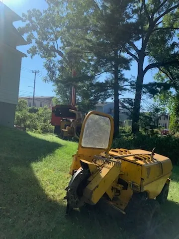 Stump Grinding